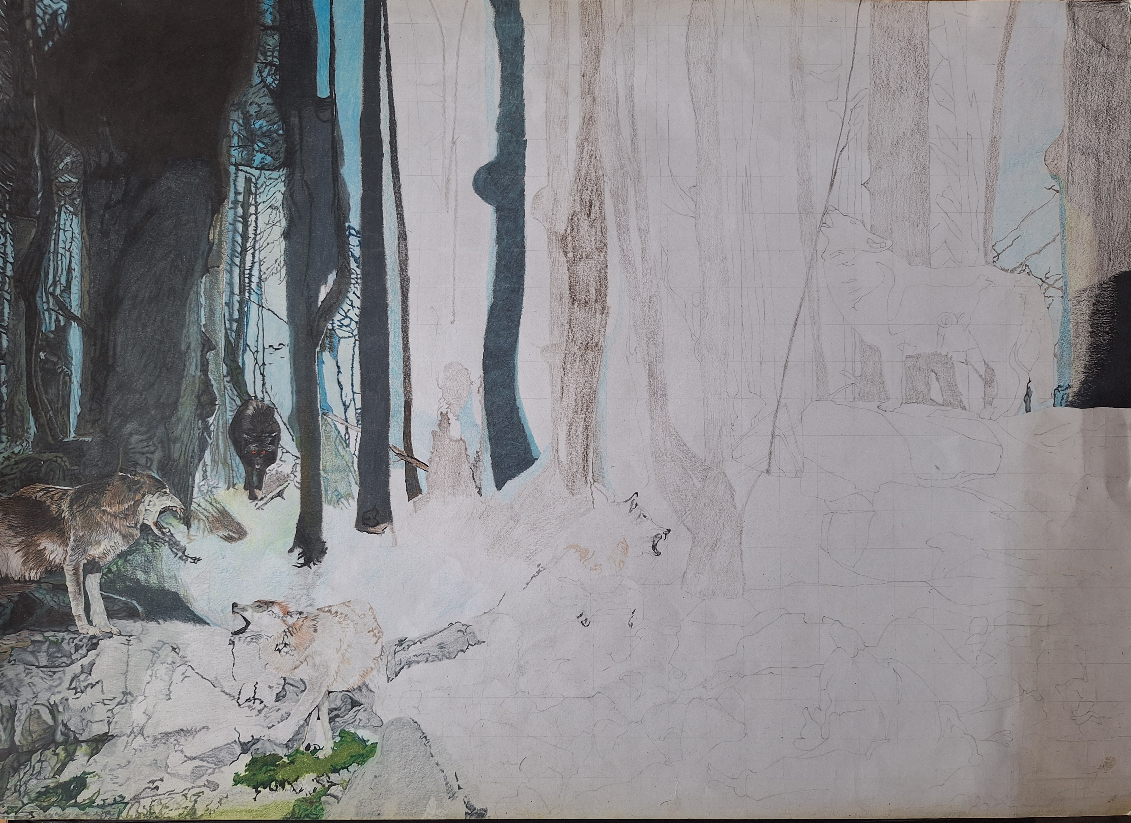 Meute de loups en forêt